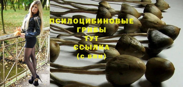 крисы Вяземский